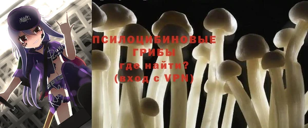 МДПВ Абаза