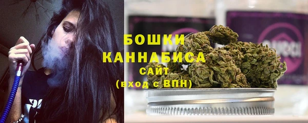a pvp Новозыбков