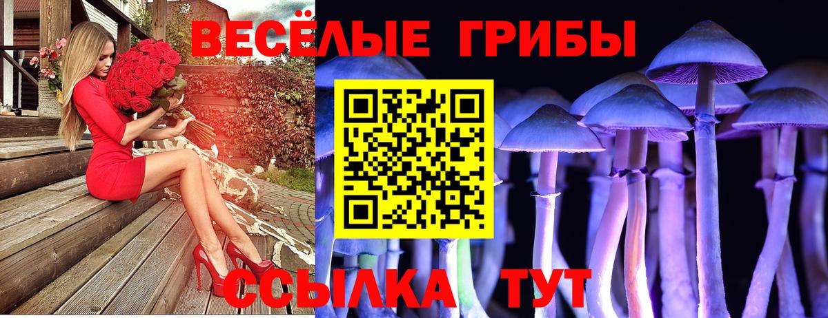 Псилоцибиновые грибы мухоморы  Псилоцибиновые грибы Magic Shrooms  наркота  Вход с VPN  Краснодар 